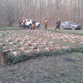 spoločná na bažanty