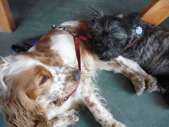 Kyrka a černokňažník