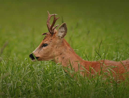 Tak ja už zdrhám hoši !!!