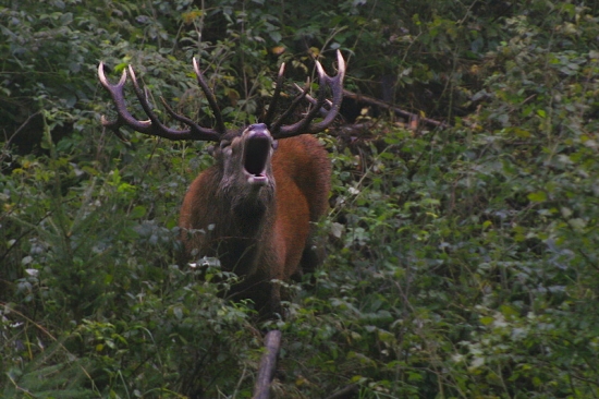 Taká bola odpoveď...