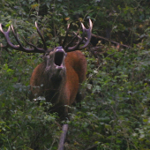 Taká bola odpoveď...