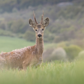 ukázal sa aj lepší