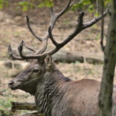 Pri odchode od bahniska