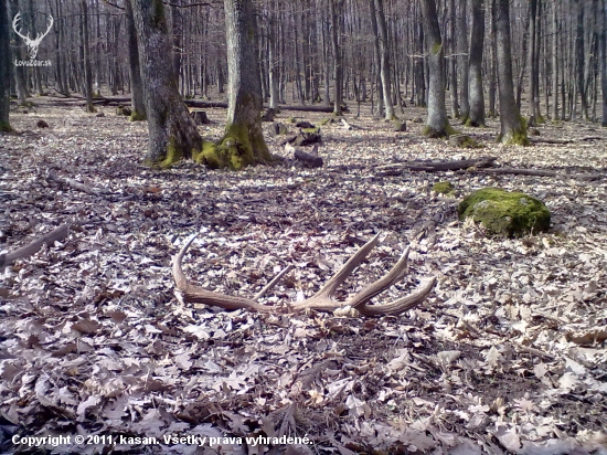 12torak 3,30kg