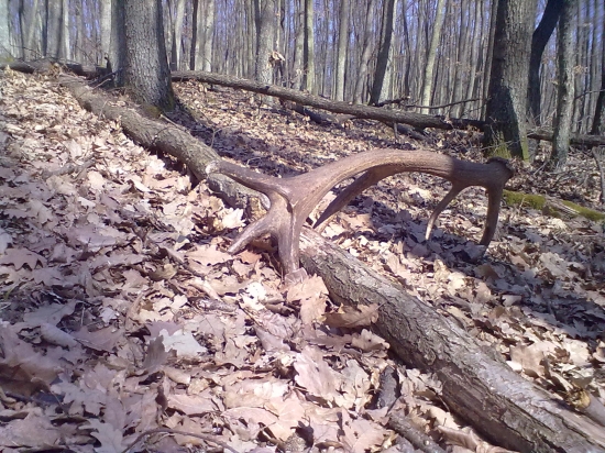 dneska sa zadarilo 3kg