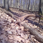 dneska sa zadarilo 3kg