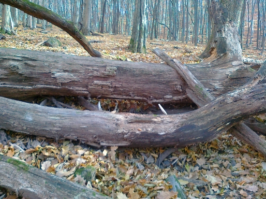 čo sa da najst v Novenbri