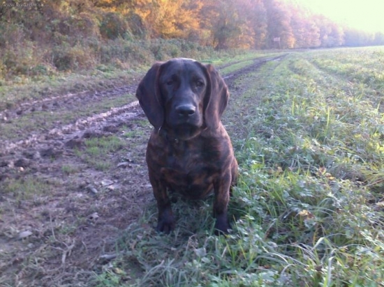 MORIS z Kmeťovej horárne 6 mesi