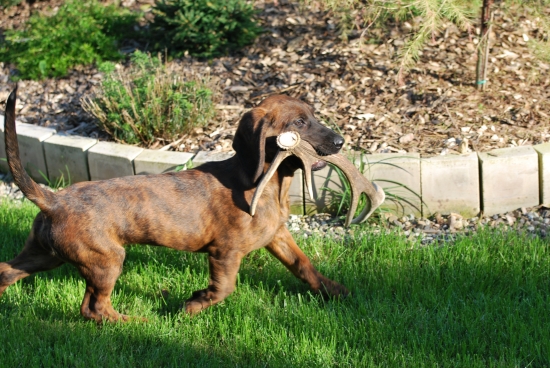 mam 3 mesiace a uz mi to ide