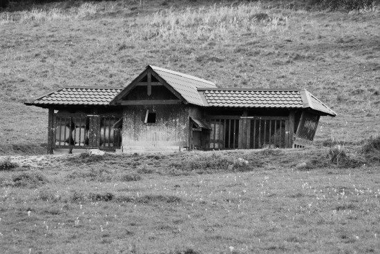 Taketo krmne zariadenia maju po revire