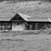 Taketo krmne zariadenia maju po revire