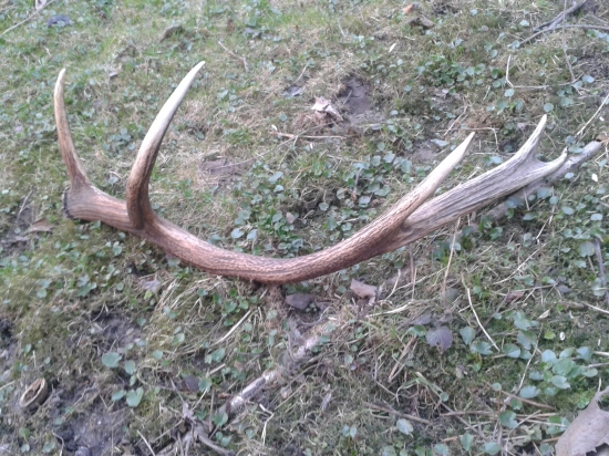 keď sa šťastie usmeje