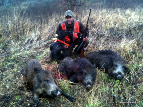 Triple - Trojica diviakov