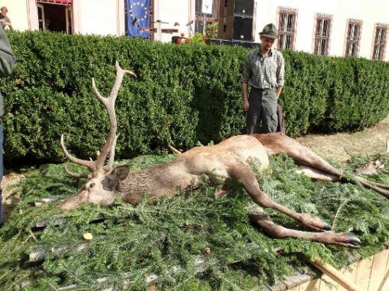 Myslivecké dny Bijacovce