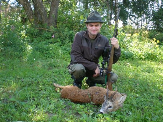 Srpnový srnec z říje