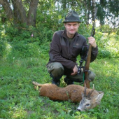 Srpnový srnec z říje
