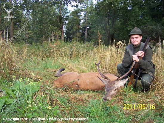 Předloňský z říje