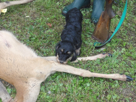 Dara - nový člen rodiny