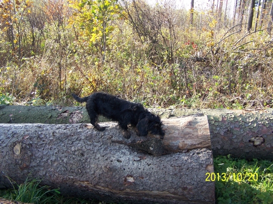 Náš malý průzkumník