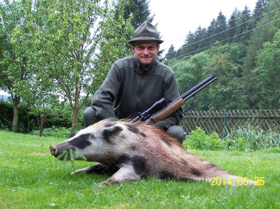 Svatojánský lončák