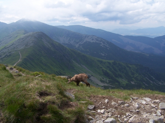 Tak jsem se byl projít v Tatrách II.