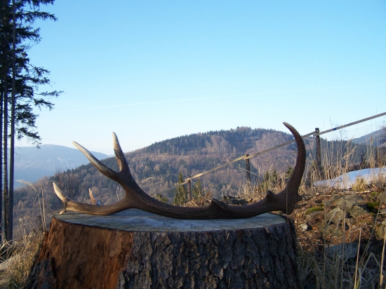 Druhý letošní II.