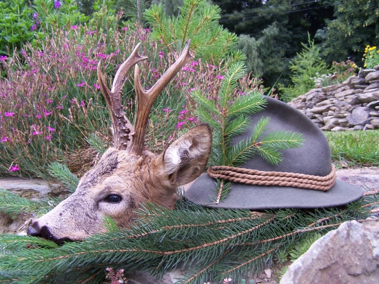 Srnec z Neutrální louky