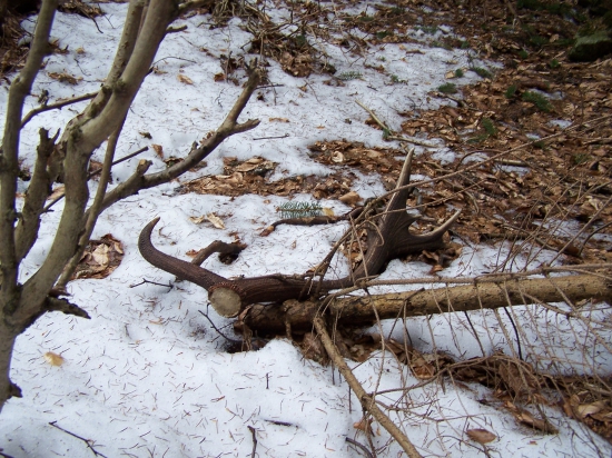 Páteční - loňský