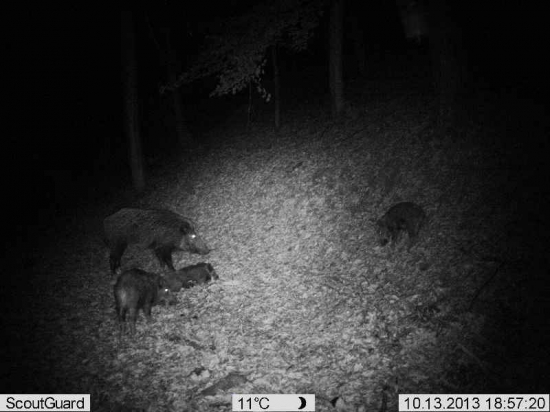 Keď je pri krmení pohoda