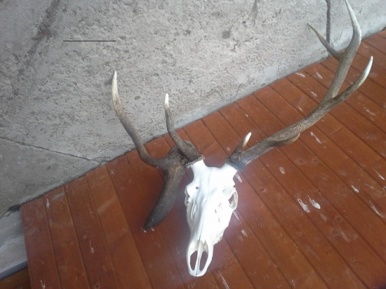 Abnormalita 31.12.2013