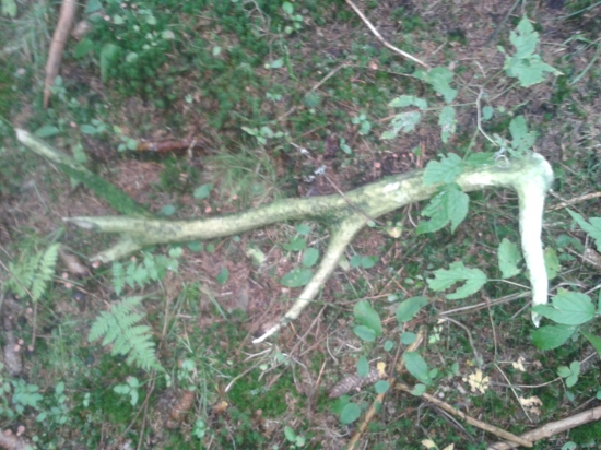 kadial som chodil ked?