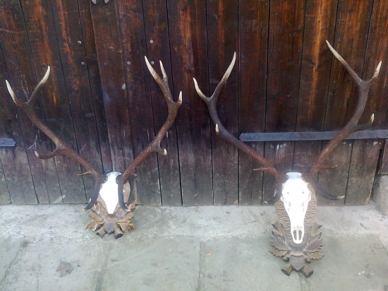 na jar zhody v septembry auto