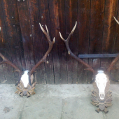 na jar zhody v septembry auto