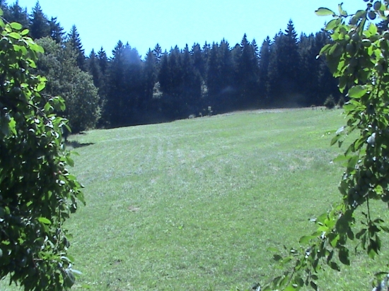 pekna lučka