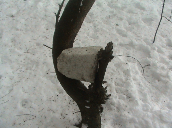 moj provizorny solnik