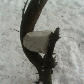 moj provizorny solnik