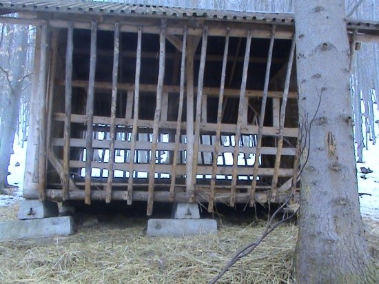 Senik- už prázdny :-(