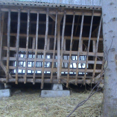 Senik- už prázdny :-(