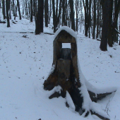 Solnik na Malom Manine - 812 m. n. m.