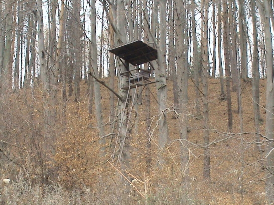 Utulna sedačka na stromoch.