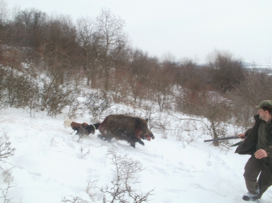 Utekajme už ide :D :D