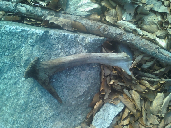 ........ vätšie tam uš neboli zjedli ich aj bez soli