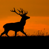 Pri západe slnka...