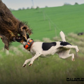 Letecký den - FXH Pepsi z Dlouhých dílů