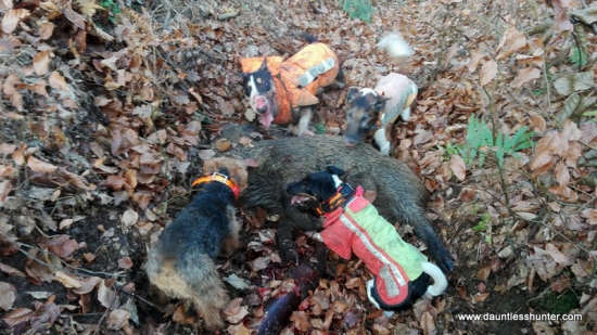 Zadržení poraněného kusu na přední běh