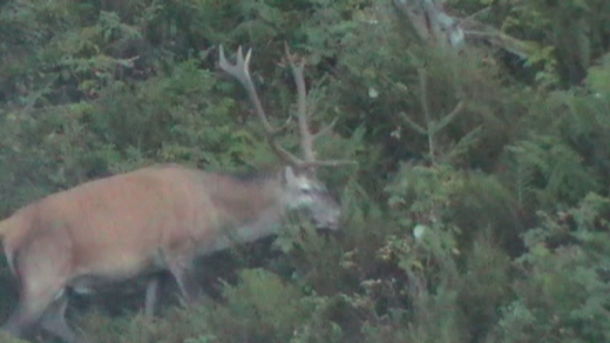 Zaujimave očniky...