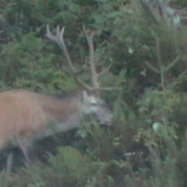 Zaujimave očniky...
