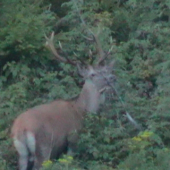 Škoda že bolo  ešte šero...