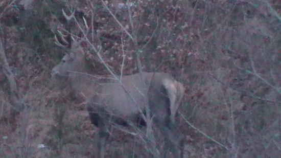 Dnešný desaťtorák