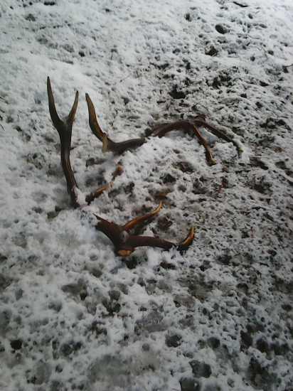 Nedeľná prechádzka